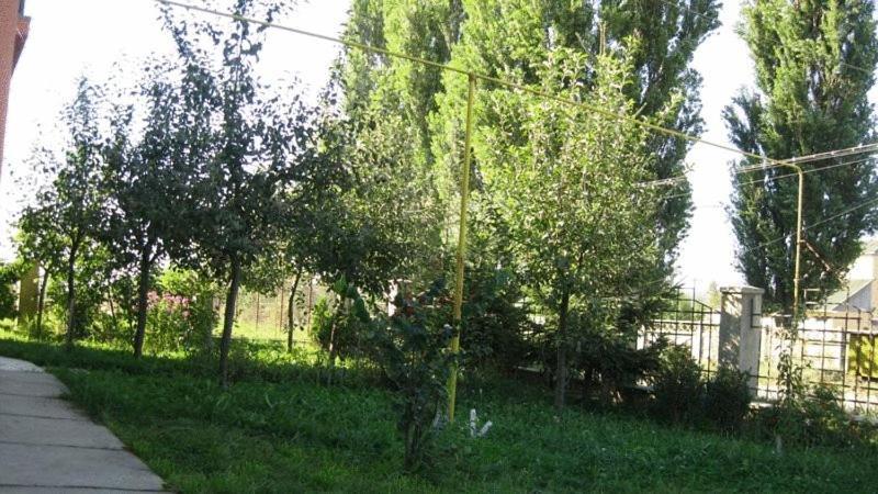 Lary Hostel Suceava Exterior photo