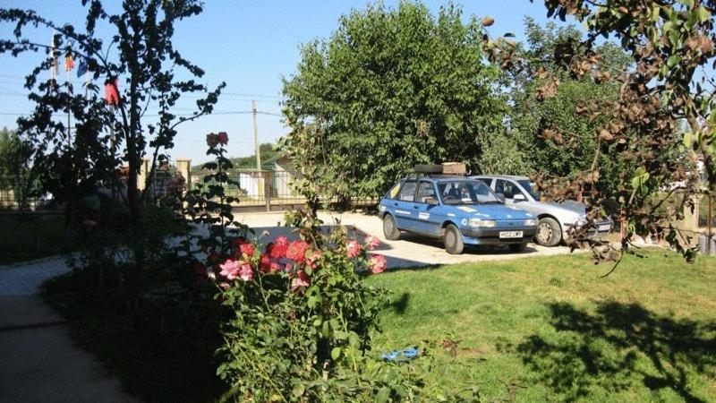 Lary Hostel Suceava Exterior photo